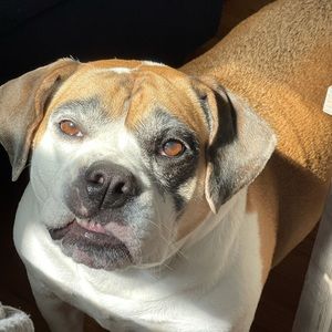 Meet your Posher, Danielle